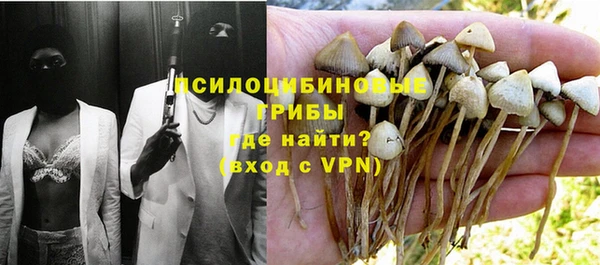 ешки Алексеевка